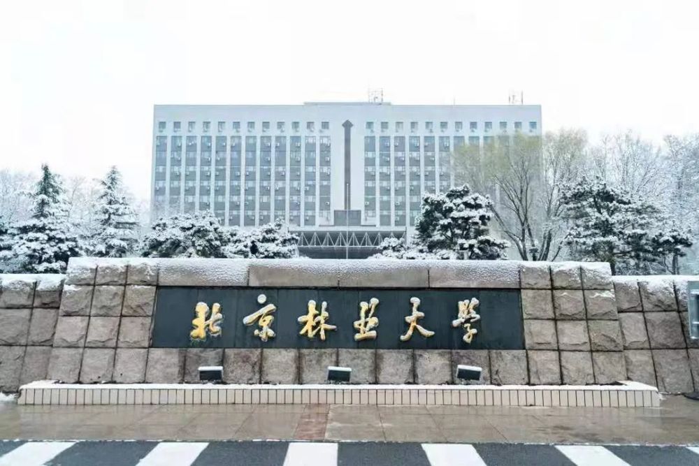 北京林业大学(北京林业大学官网)