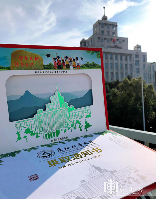 东北林业大学二学历