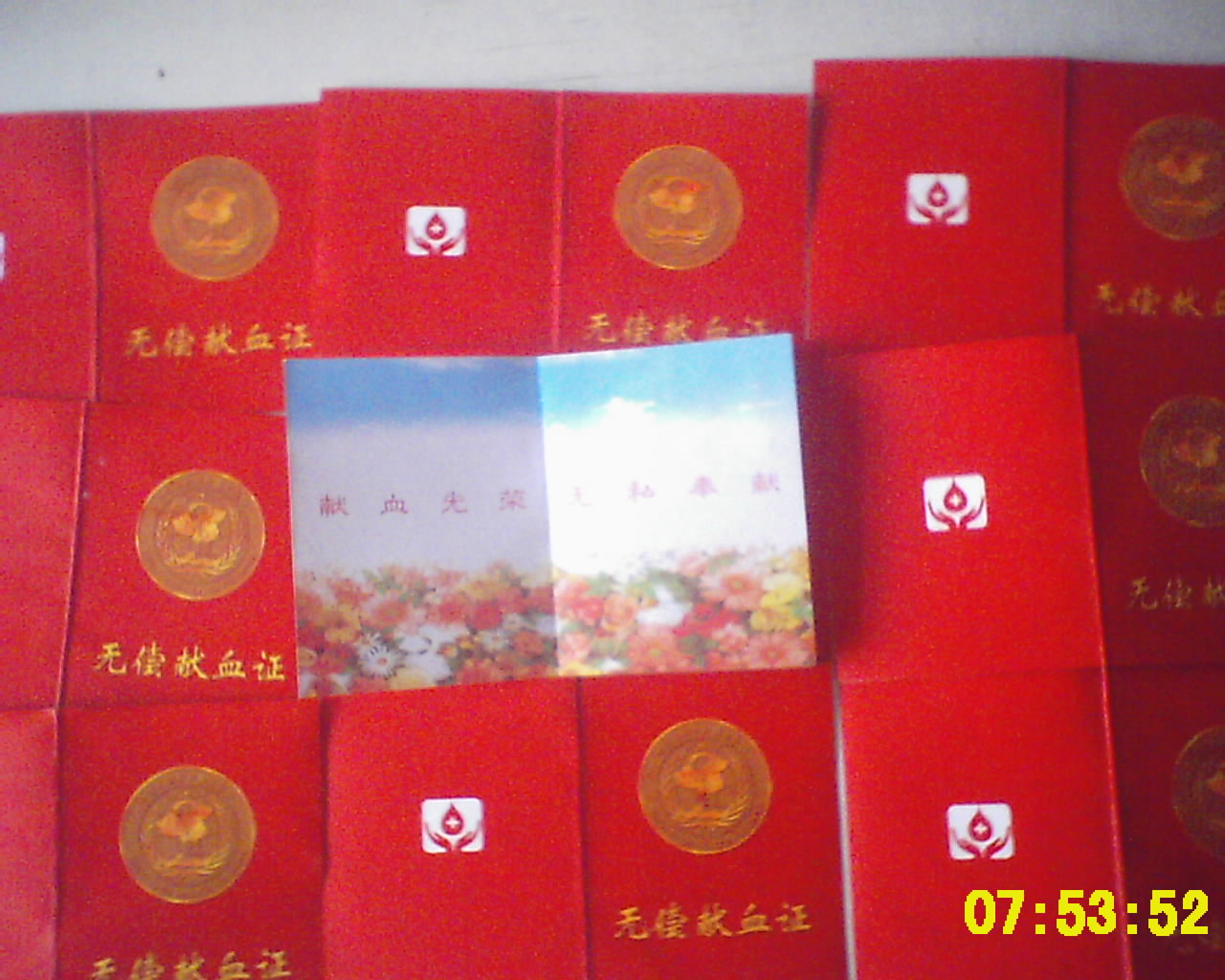 东北林业大学二学历