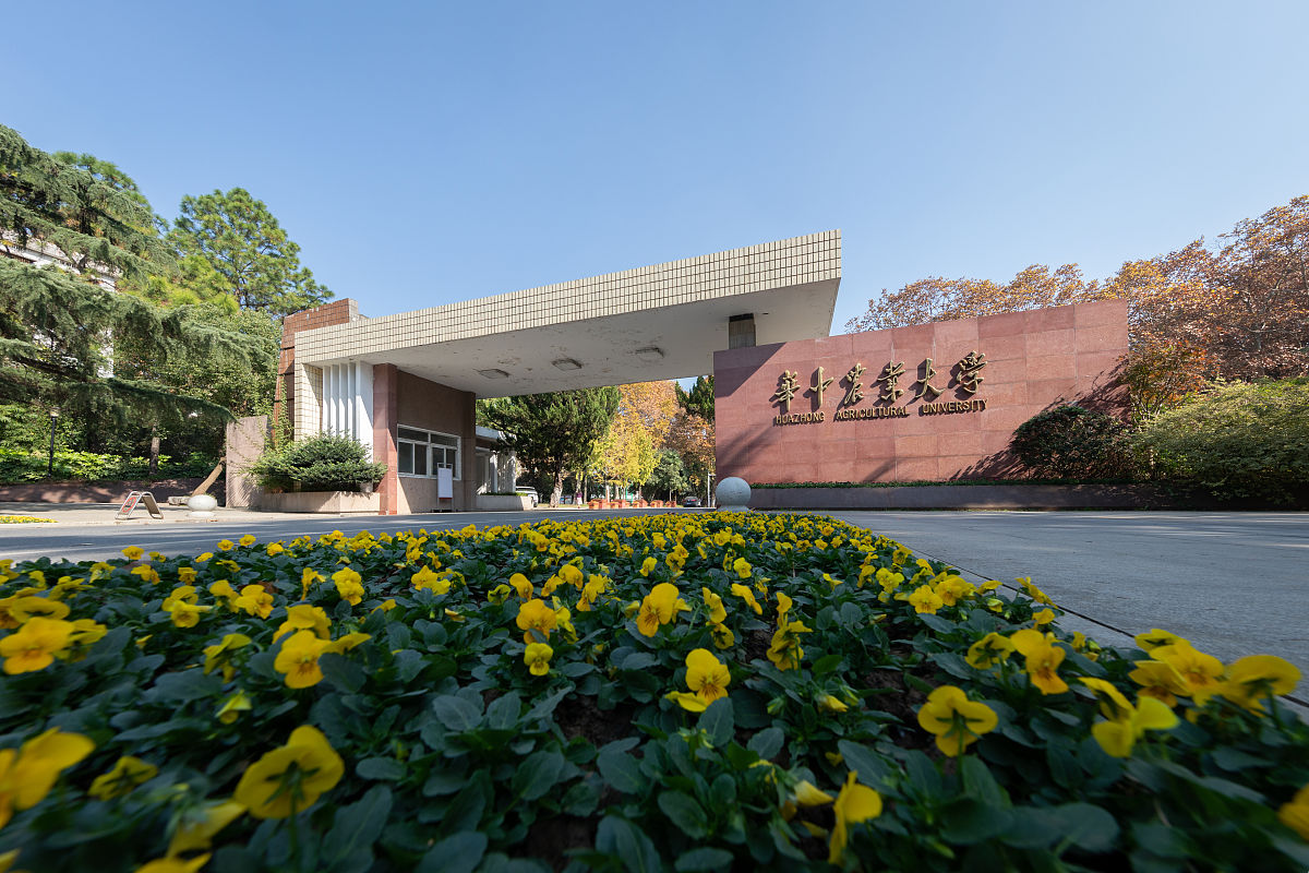 华南农业大学录取分数线2025
